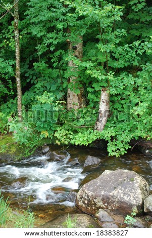 Ontario, Canada - July 28, 2008: Photo of small cold brook in the forest. Ontario, Canada