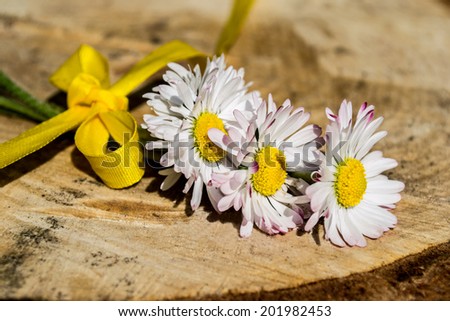 daisies with yellow ribbon, ribbon, lots of flowers, decoration daisy, yellow ribbons, ribbon, lots of flowers