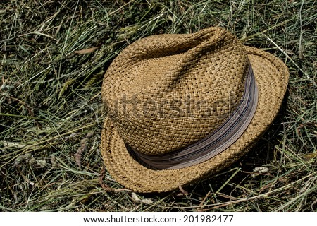 hay, straw, straw hat, sun, vacation, farm, countryside, farmer, hay, working on the farm, straw hat, a fashionable sun protection cowboy