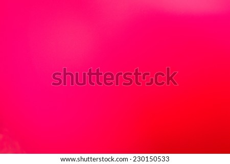 purple, pink background, glow, gradient colors, light pink, purple, violet, flower, background two colors, cheerful colors, love, romance