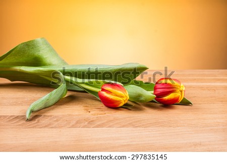 tulip on a wooden table , orange background , yellow tulip , red tulip on an orange background , flamed tulip , flowers , valentine , decoration , ocher