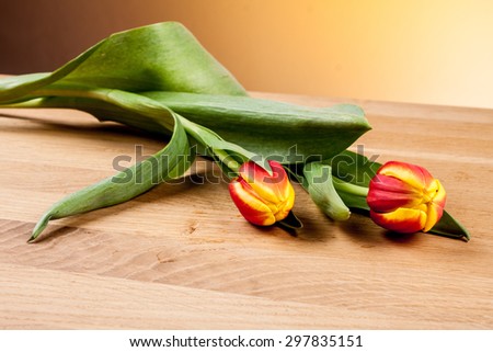 tulip on a wooden table , orange background , yellow tulip , red tulip on an orange background , flamed tulip , flowers , valentine , decoration , ocher