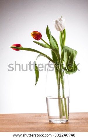tulip in a vase red tulip in a vase on a table against a white background, white tulip vase with clean water and tulip glass vase, flamed tulip, three tulips, red and yellow tulip vase with tulips