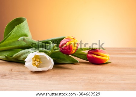 white tulip, red tulip, tulips on board, tulips on an orange background, beige background, background, sand, snow, white and red, beautiful bouquets, Valentine\'s Day, Mother\'s Day,yellow tulip