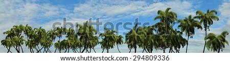 Palm trees panorama of a tropical island