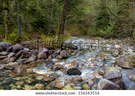 Bubbling stream run off from Shannon Falls, BC