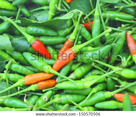 The picture shows a pile of small, , very hot and spicy chilli