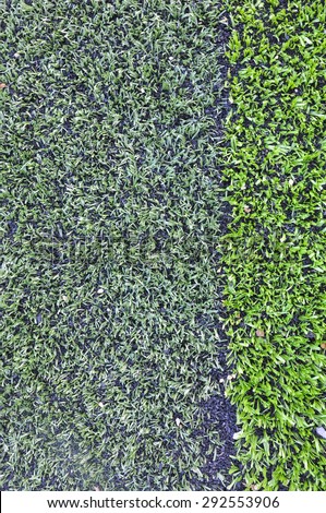 Artificial grass texture ,green grass background