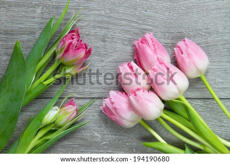 bunch of soft pink tulips on wooden surface