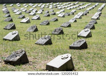 old graveyard in slovenia in memorial to soldiers who died in world war one.