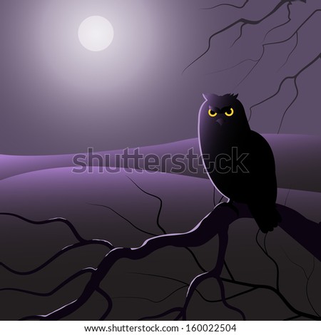 Owl is sitting on the tree branch in the moon light.