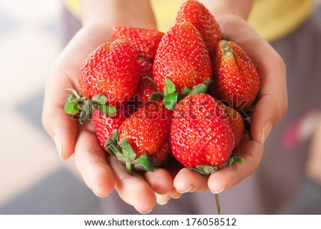 Fresh garden strawberries in hand