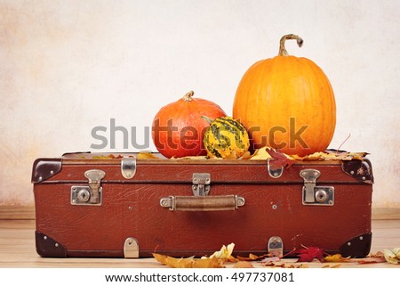 Vintage suitcase and pumpkins