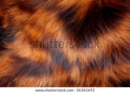 The animal hide fur brown and black background.