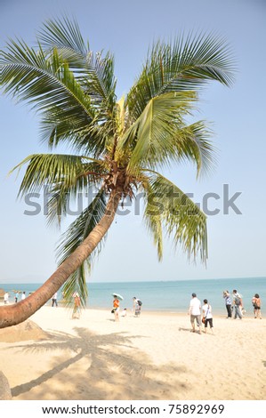 Tourists wander  along the beautiful sandy beach under palm tree by the South China Ocean,Sanya,Hainan,China.