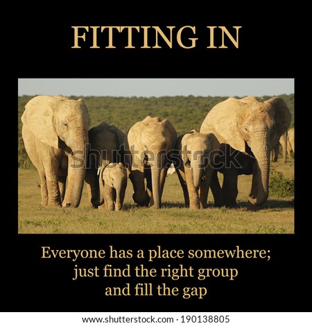 Inspirational poster: FITTING IN - family of different size elephants walking together