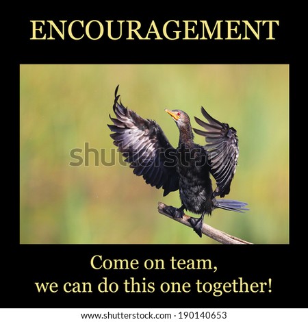 Inspirational poster: ENCOURAGEMENT - reed cormorant flapping wings from perch