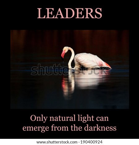 Inspirational poster: LEADERS - low key flamingo standing in water with reflection