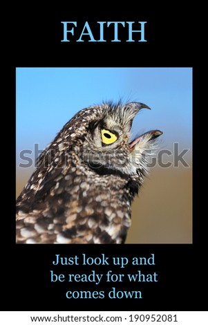 Motivational poster: FAITH - owl looking upwards with open beak
