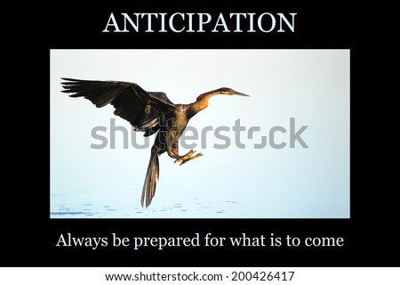 Motivational poster - ANTICIPATION: bird coming in to land on water