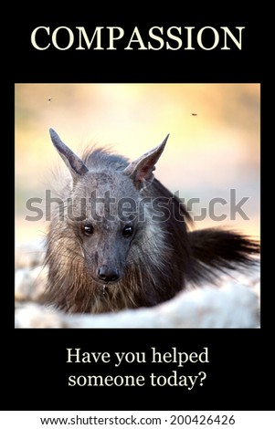 Motivational poster - COMPASSION: sad brown hyena looking at you