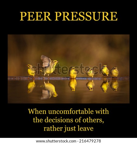 Motivational poster - PEER PRESSURE: one canary flying away from other canaries