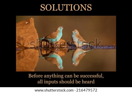 Motivational poster - SOLUTIONS: two small blue birds talking