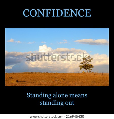 Motivational poster - CONFIDENCE: lonely tree in a grassy field with a fluffy cloud sky