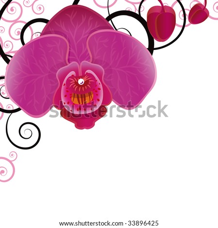 orchids tattoos. pink orchid tattoo