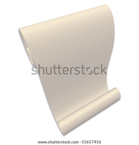 blank paper scroll. stock photo : Blank Paper