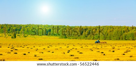Agriculture tractor in yellow field