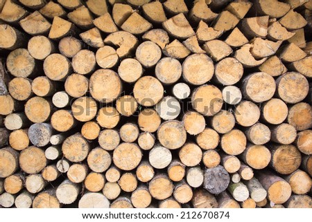 Pile of wood in different shapes and colors