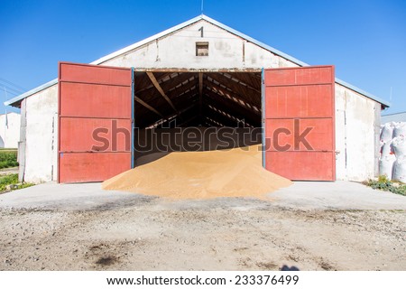 The warehouse with a pile of wheat inside