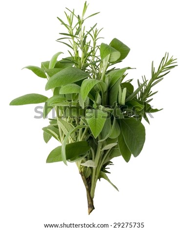 aromatic fresh herbs isolated on white background