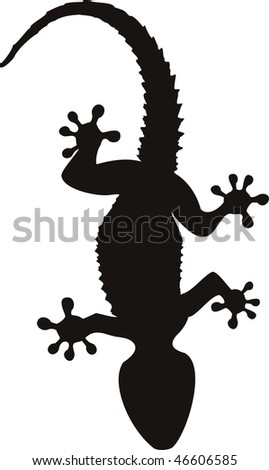 gecko tattoo isolated on withe 