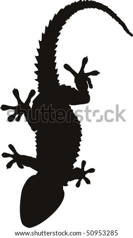 stock photo : gecko tattoo isolated on withe background