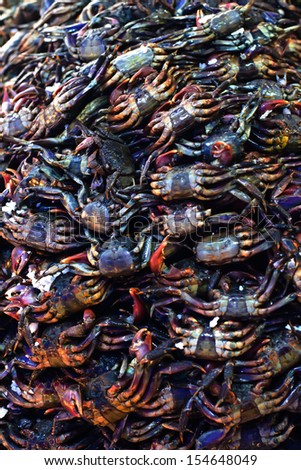 Crabs in market,Thailand
