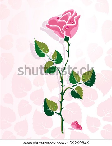 rose vector, pink rose, illustration of roses, rose petals, vector flower, Vector flowers, Rose Petals, festive rose, vector roses