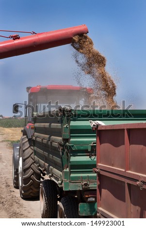 Combine harvester unloads his load of wheat grains into tractor trailer.