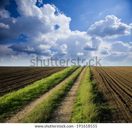 Rural road trough fields of arable land