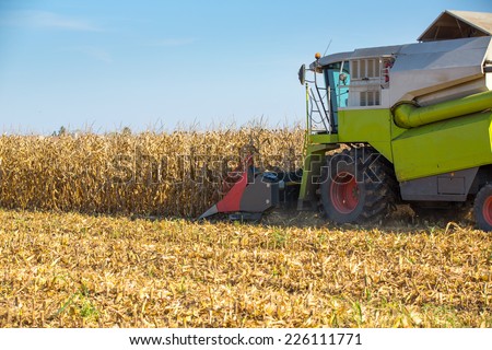 Combine harvester harvesting corn maize grains.