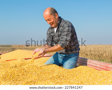 Happy smiling farmer during corn maize harvest