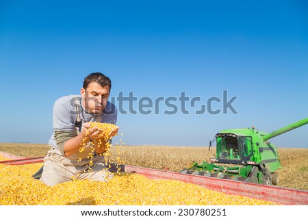 Farmer blowing dust from freshly harvested corn maize grains