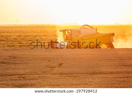Combine harvester in action on wheat field at sunset