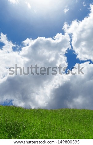 Green grass and blue sky with bird and clouds.