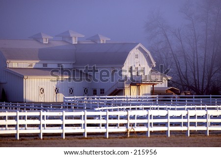 Horse barn cold winter morning