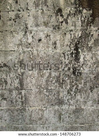 seamless texture of old stone wall with a crack background