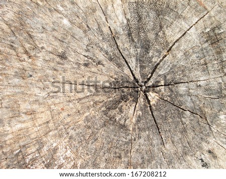 Abstract crack wood ancient : spiral style background
