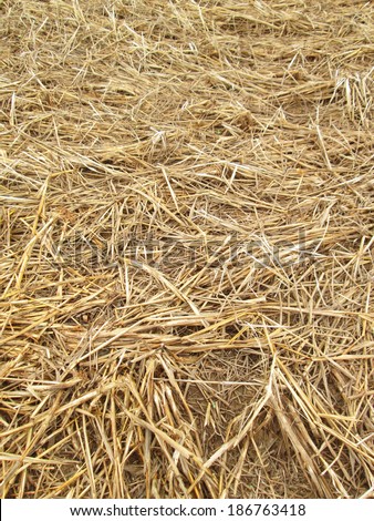 Brown rice straw