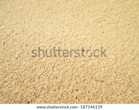 Sand background. Closeup sand. Beach sand in the summer